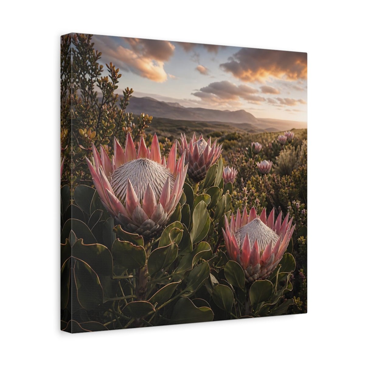 Sunset King Proteas Canvas Print – Living Room, Above Console Table, Pink & Green - YesArtYes
