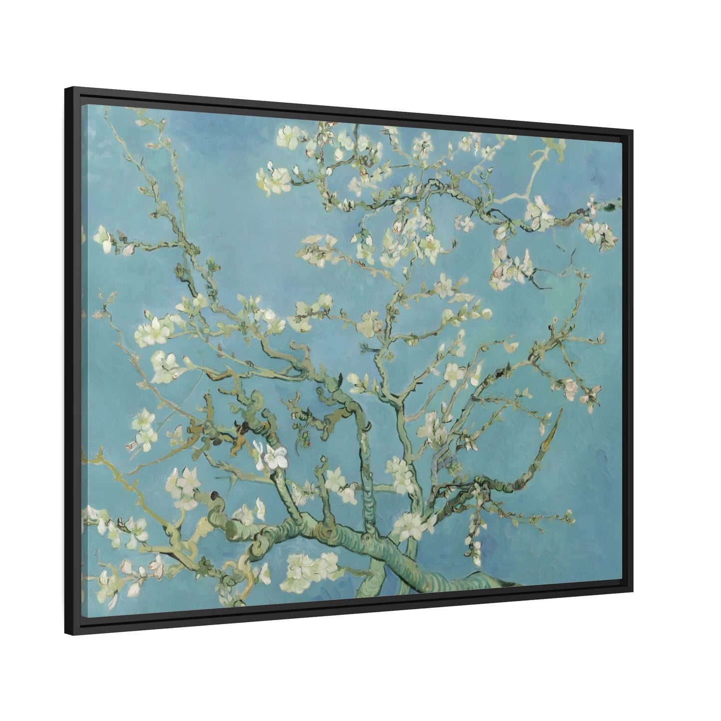 Vincent Van Gogh Almond Blossom Tree - Framed Canvas Wall Art Print in Black Pinewood Frame