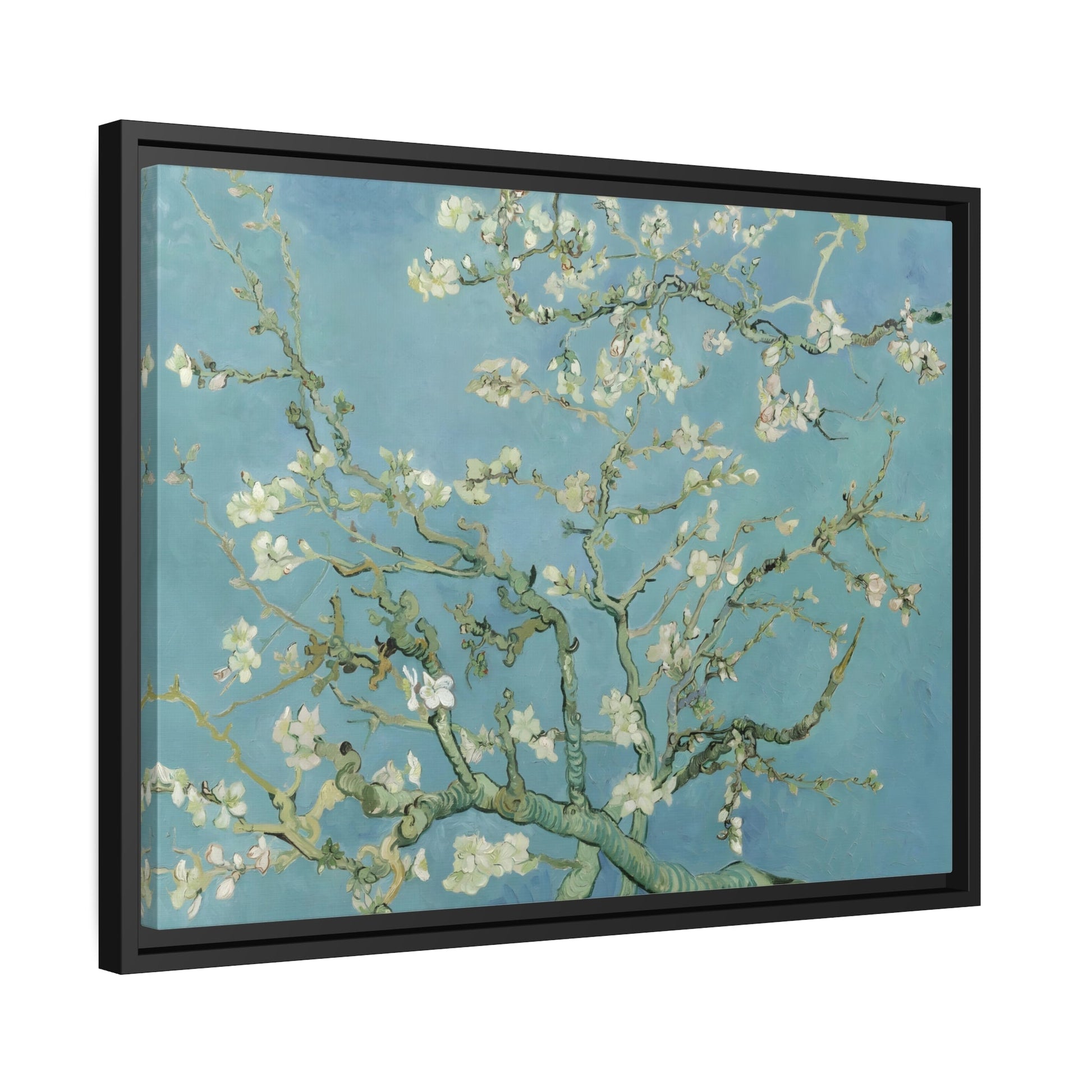 Vincent Van Gogh Almond Blossom Tree - Framed Canvas Wall Art Print in Black Pinewood Frame