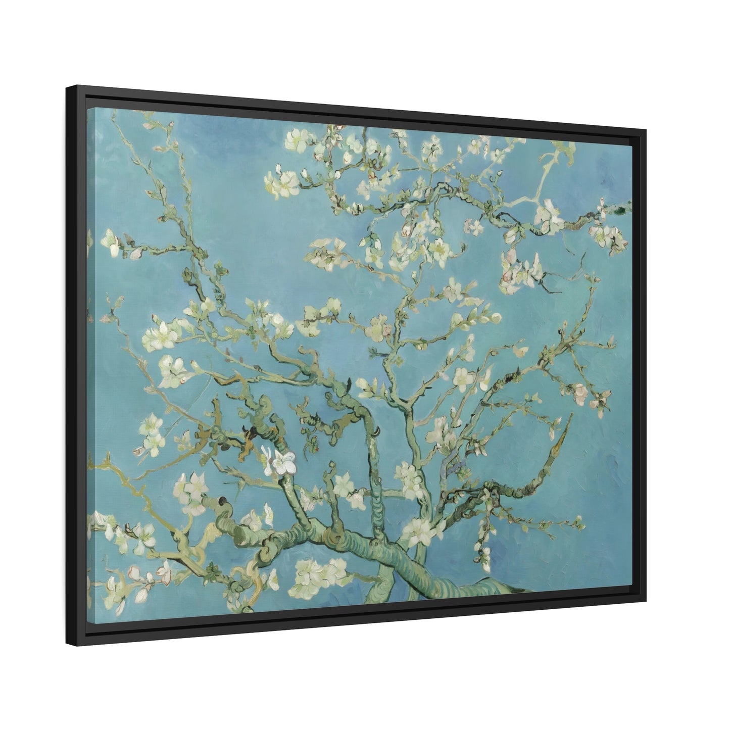 Vincent Van Gogh Almond Blossom Tree - Framed Canvas Wall Art Print in Black Pinewood Frame