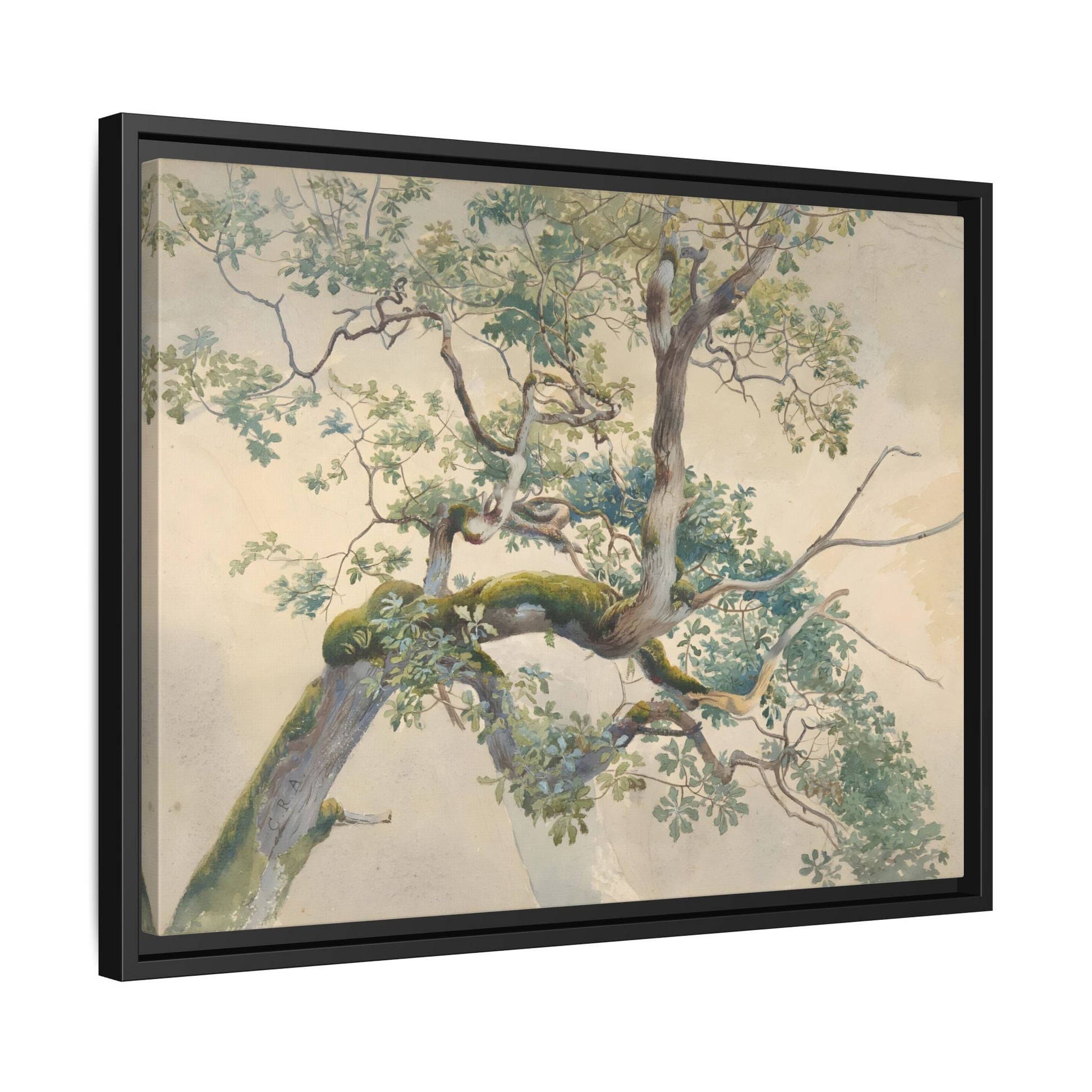 Vintage Aston Tree Branches Canvas Wall Art Print - YesArtYes