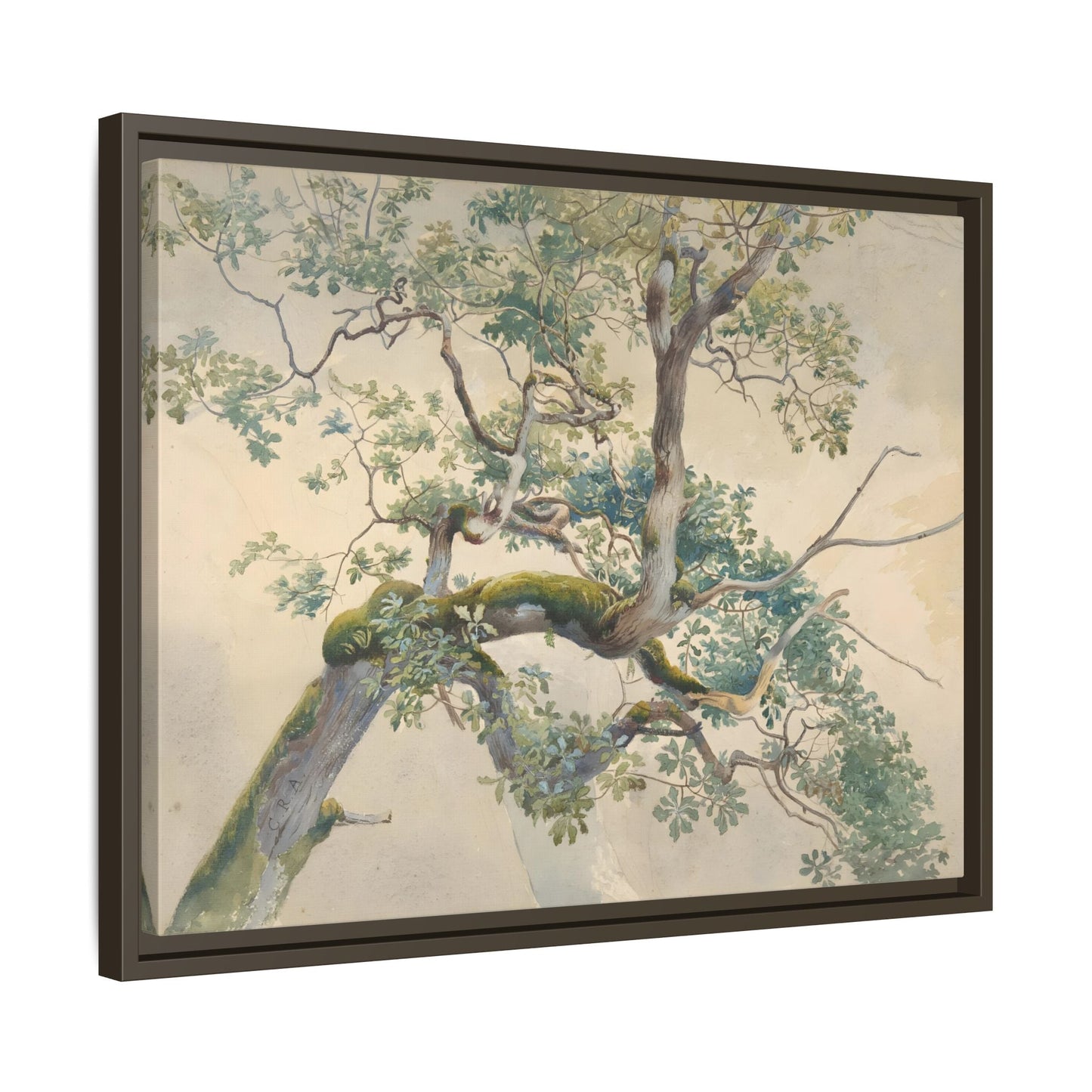 Vintage Aston Tree Branches Canvas Wall Art Print - YesArtYes