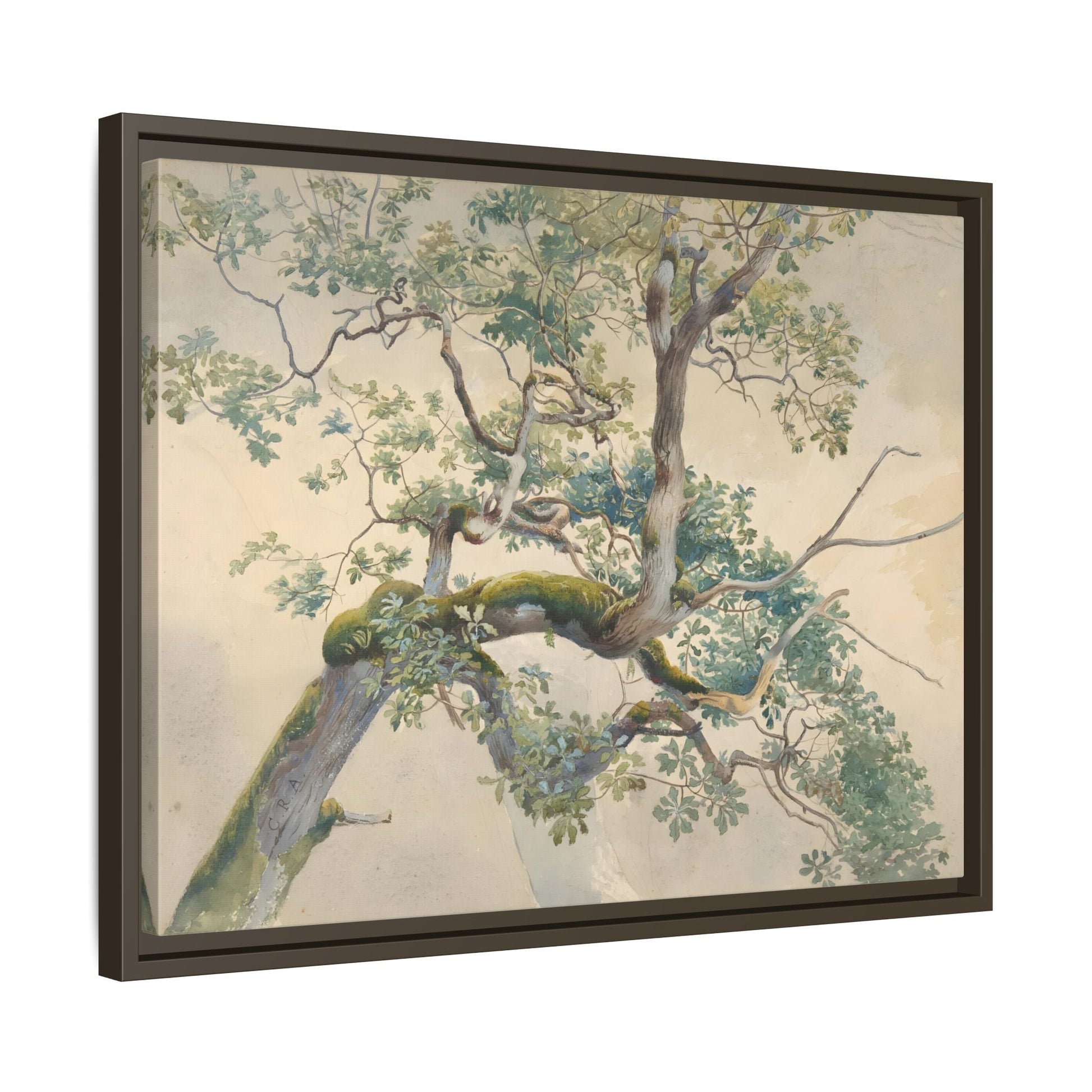 Vintage Aston Tree Branches Canvas Wall Art Print - YesArtYes
