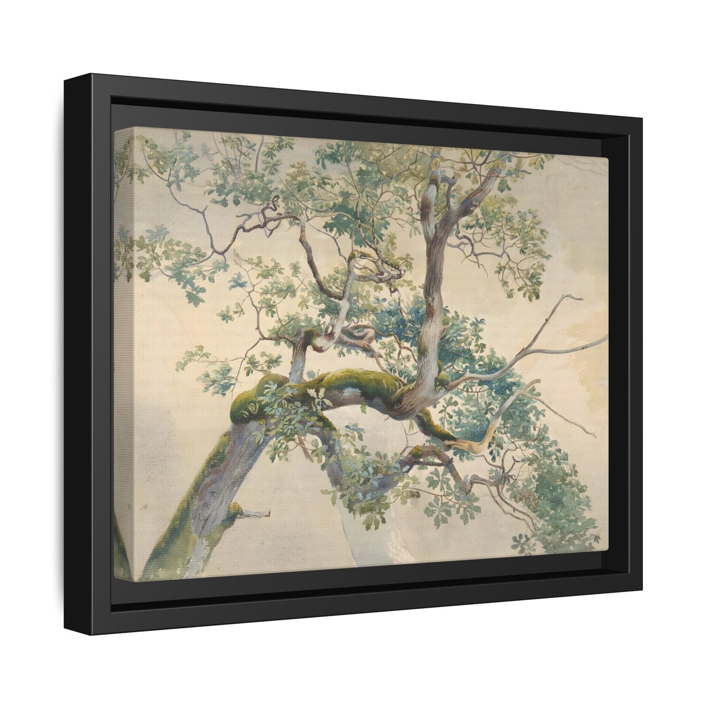 Vintage Aston Tree Branches Canvas Wall Art Print - YesArtYes