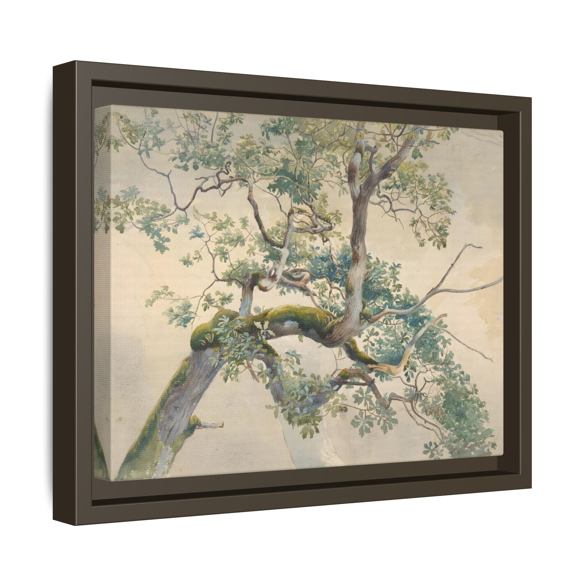 Vintage Aston Tree Branches Canvas Wall Art Print - YesArtYes