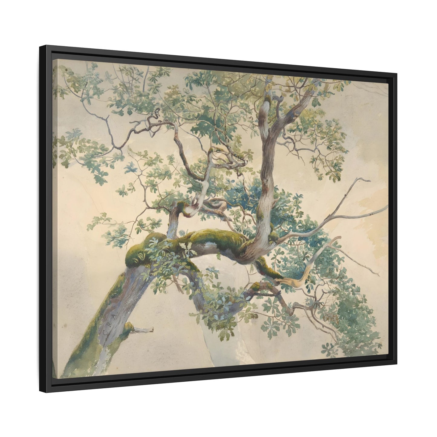 Vintage Aston Tree Branches Canvas Wall Art Print - YesArtYes