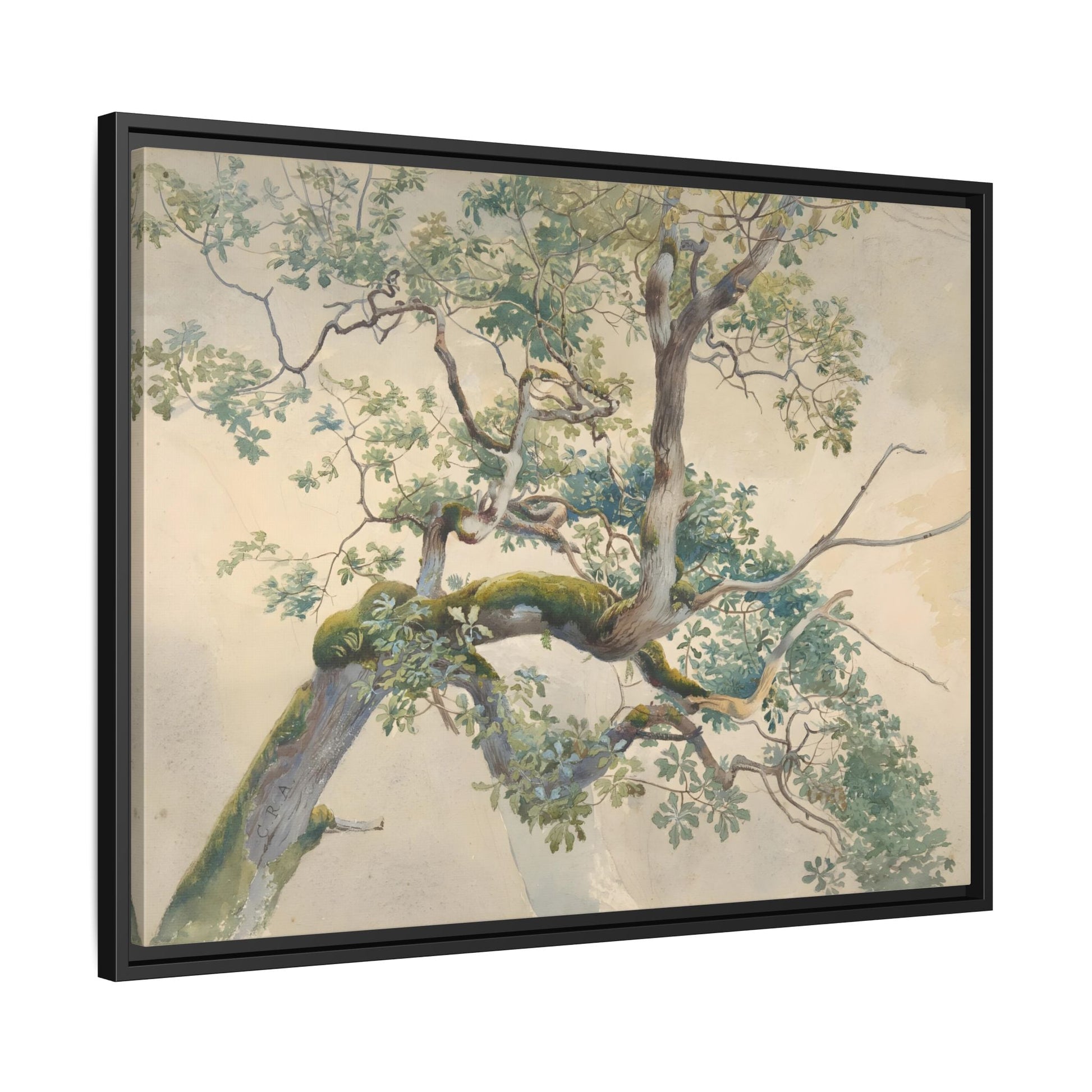 Vintage Aston Tree Branches Canvas Wall Art Print - YesArtYes