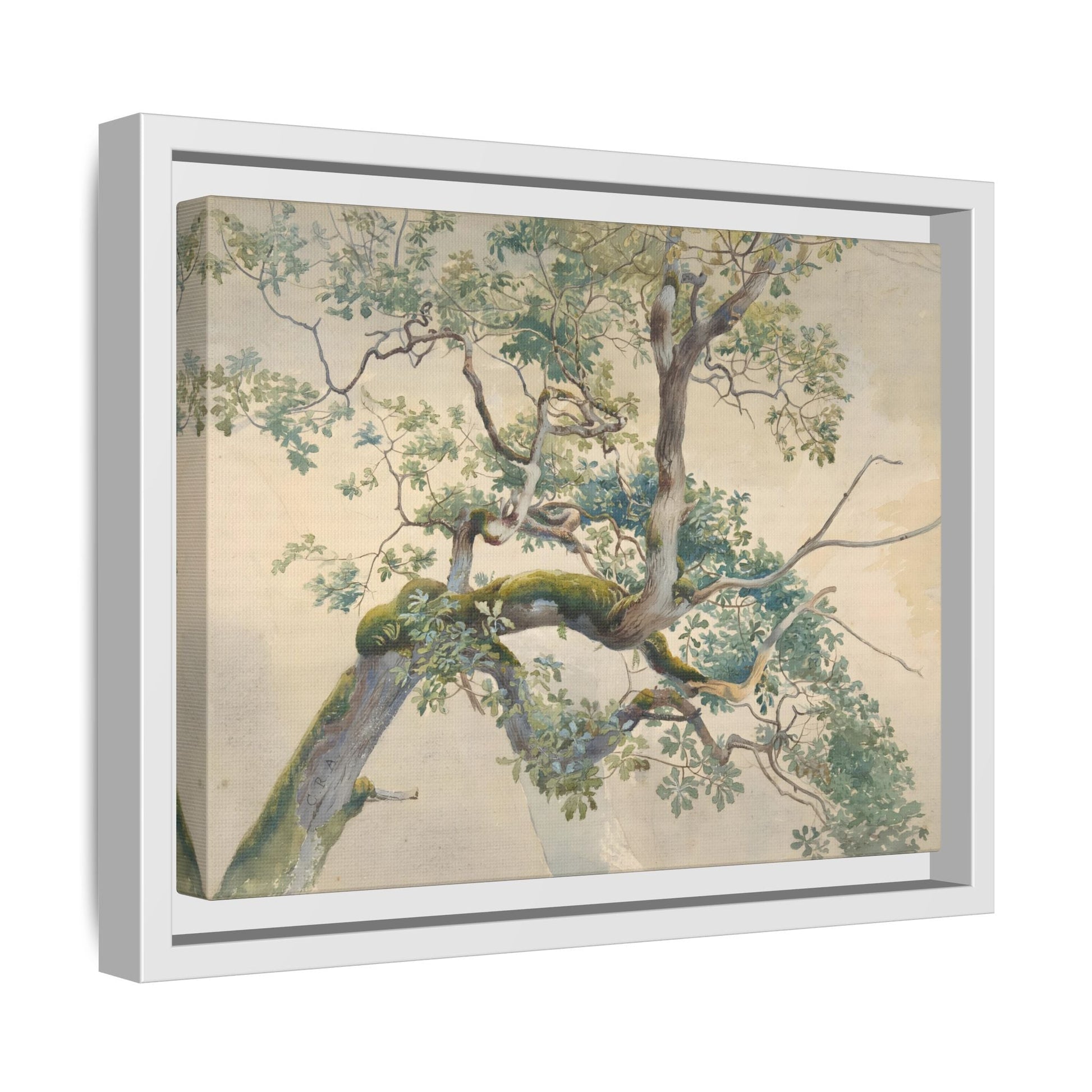 Vintage Aston Tree Branches Canvas Wall Art Print - YesArtYes