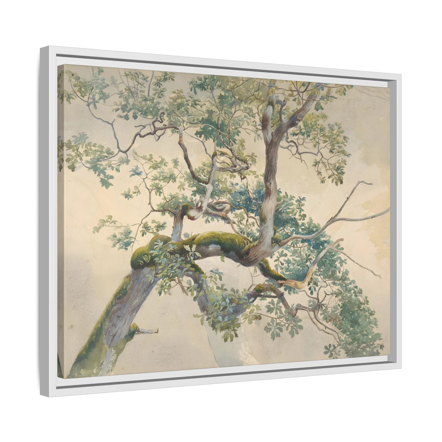 Vintage Aston Tree Branches Canvas Wall Art Print - YesArtYes