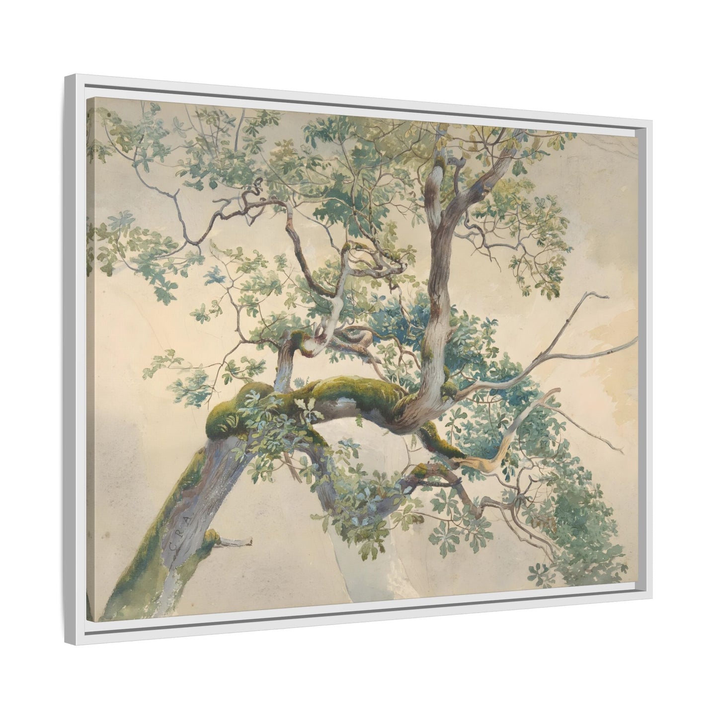 Vintage Aston Tree Branches Canvas Wall Art Print - YesArtYes