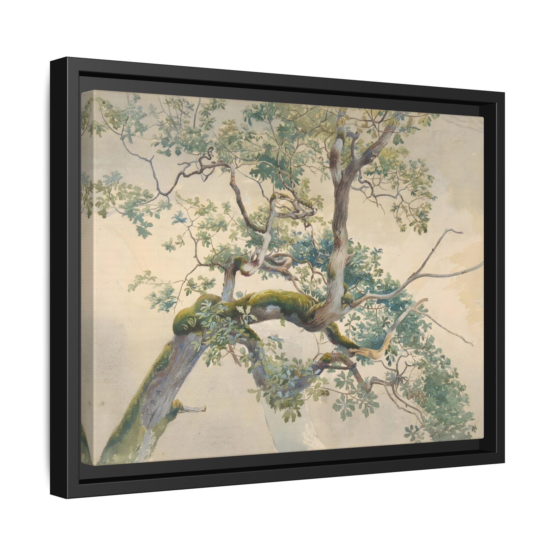 Vintage Aston Tree Branches Canvas Wall Art Print - YesArtYes