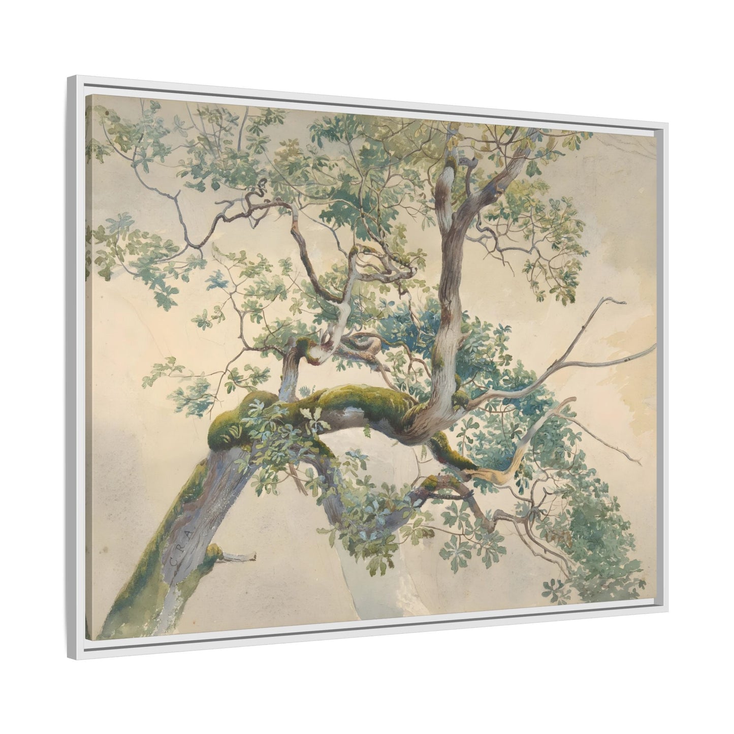 Vintage Aston Tree Branches Canvas Wall Art Print - YesArtYes