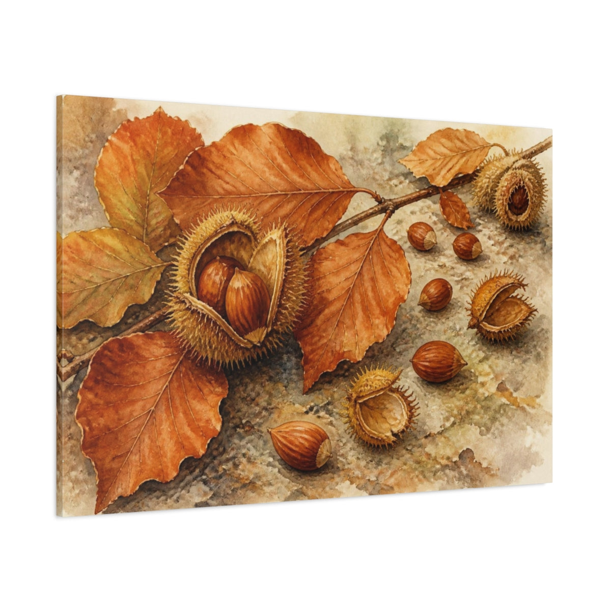 Side Mockup 1. Vintage Botanical Beechnuts shown as canvas print