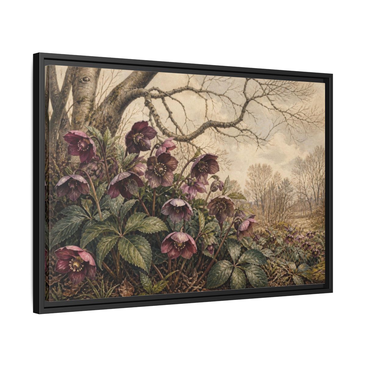 Side Mockup 14. Vintage Hellebore Study shown as framed canvas print
