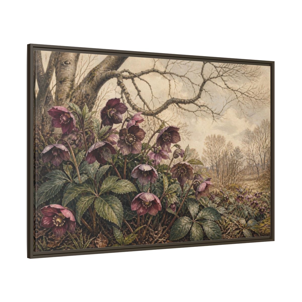 Side Mockup 8. Vintage Hellebore Study shown as framed canvas print