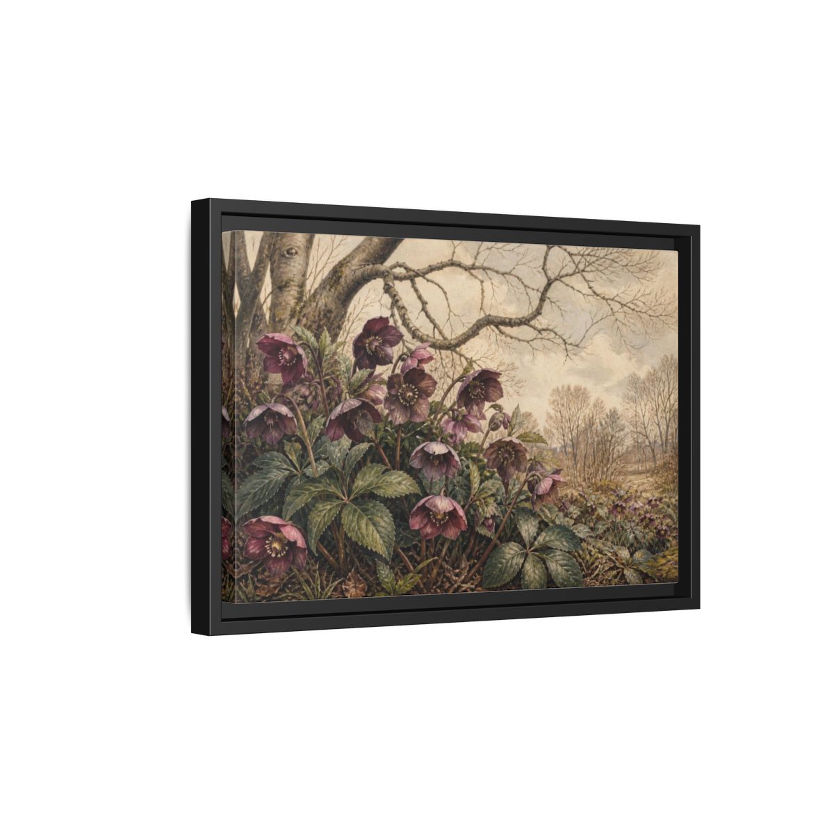Side Mockup 6. Vintage Hellebore Study shown as framed canvas print