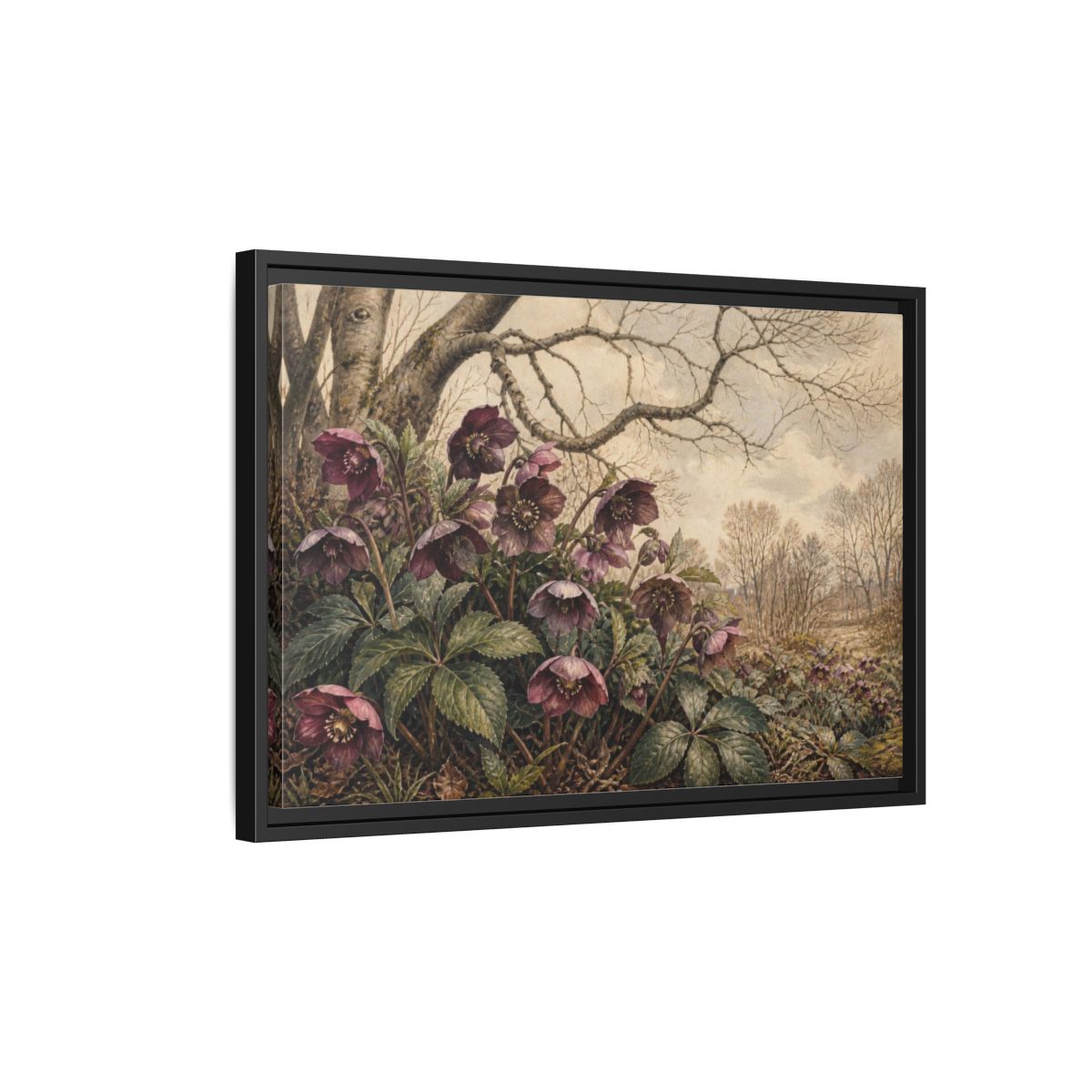 Side Mockup 3. Vintage Hellebore Study shown as framed canvas print