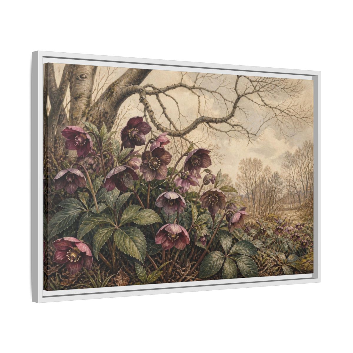 Side Mockup 10. Vintage Hellebore Study shown as framed canvas print