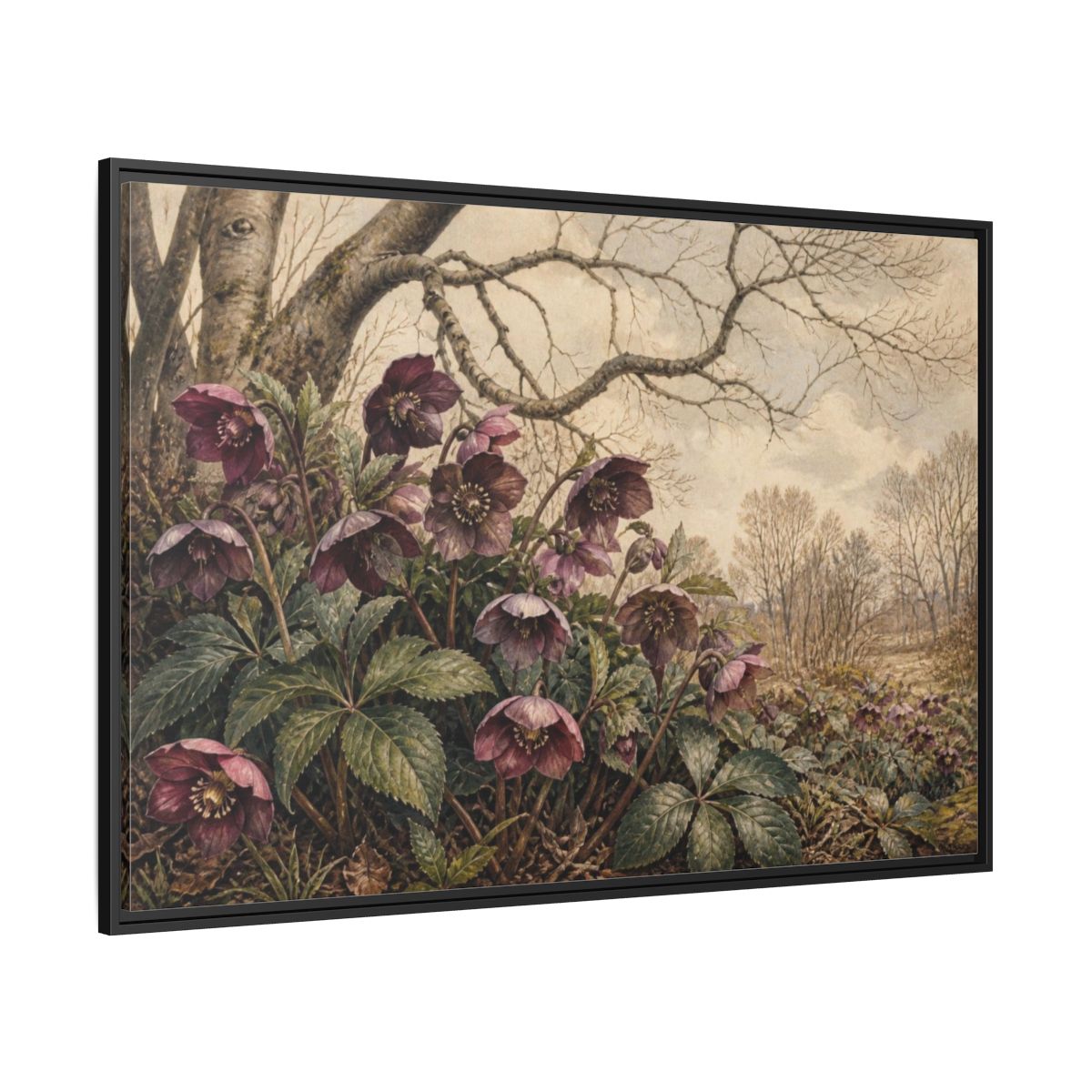 Side Mockup 12. Vintage Hellebore Study shown as framed canvas print