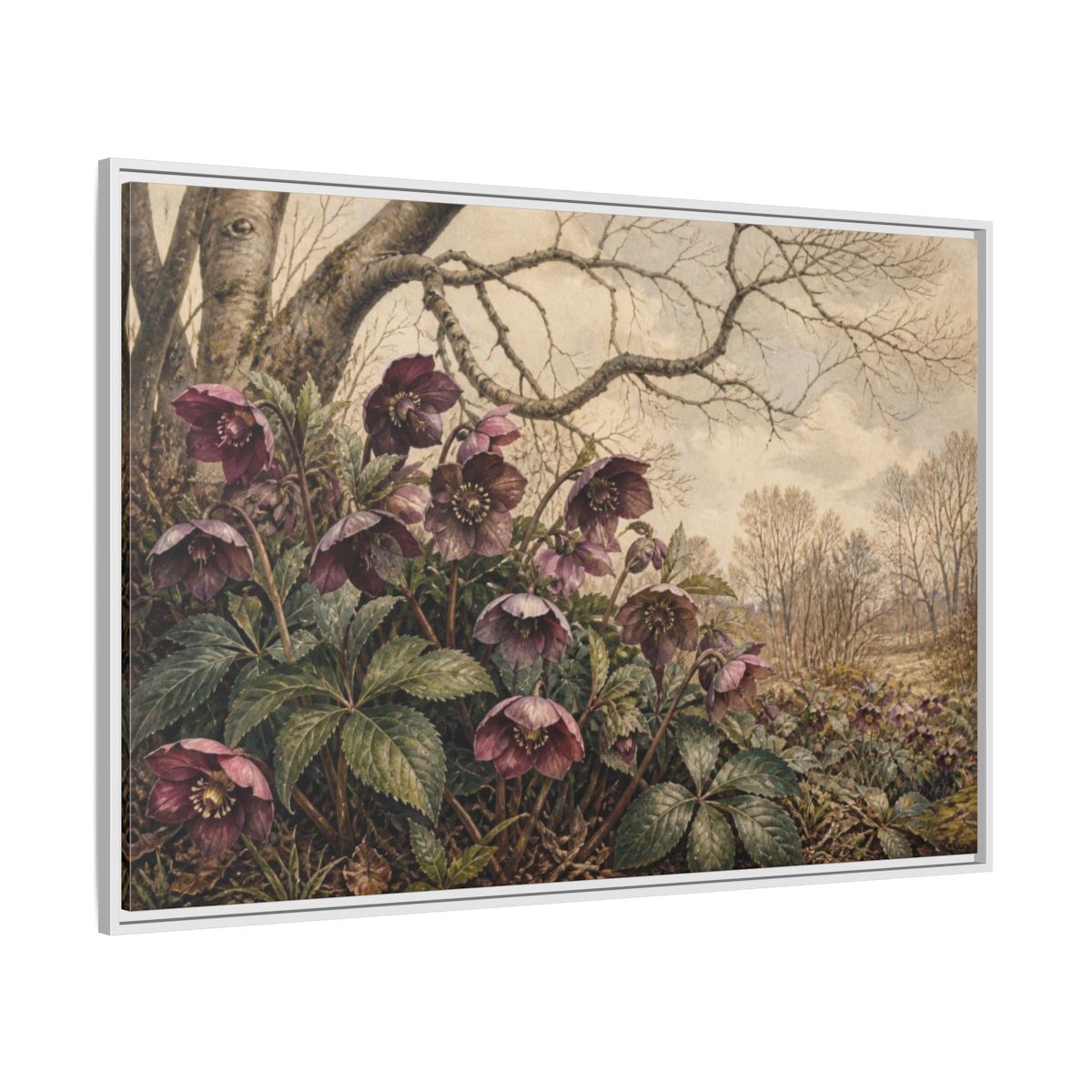 Side Mockup 7. Vintage Hellebore Study shown as framed canvas print