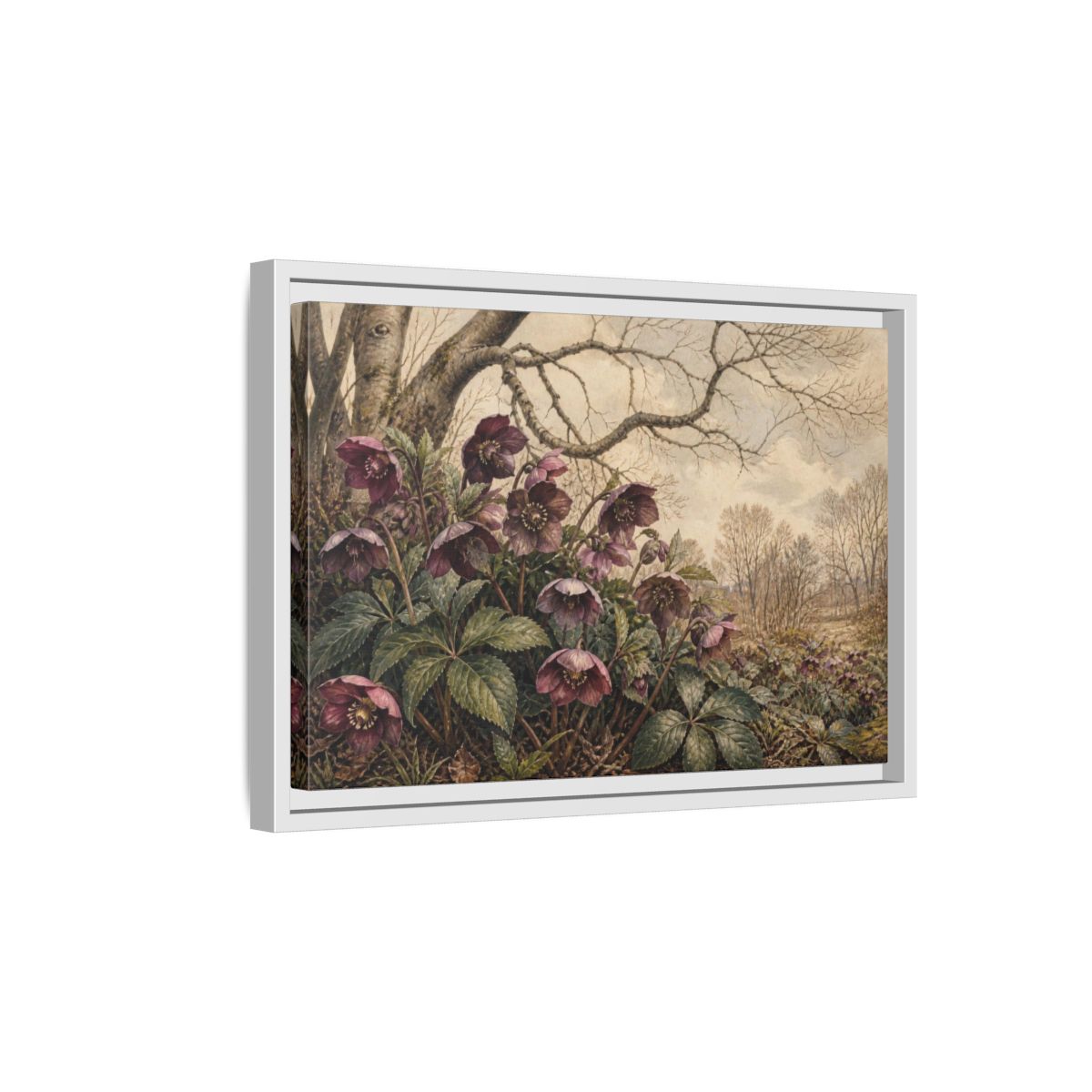 Side Mockup 4. Vintage Hellebore Study shown as framed canvas print