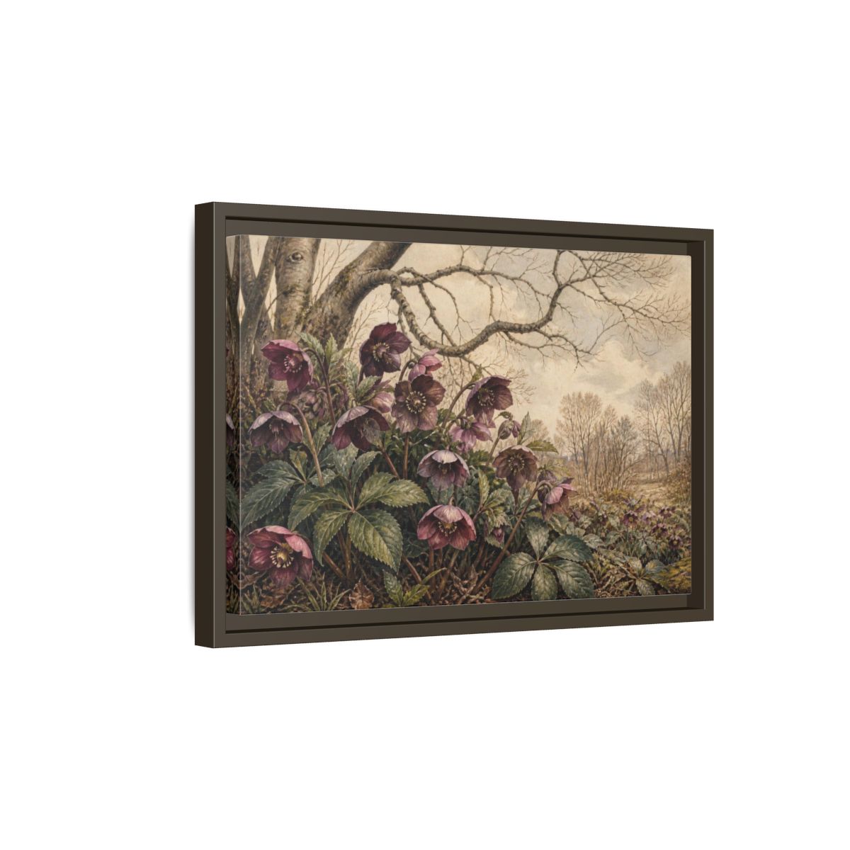 Side Mockup 5. Vintage Hellebore Study shown as framed canvas print