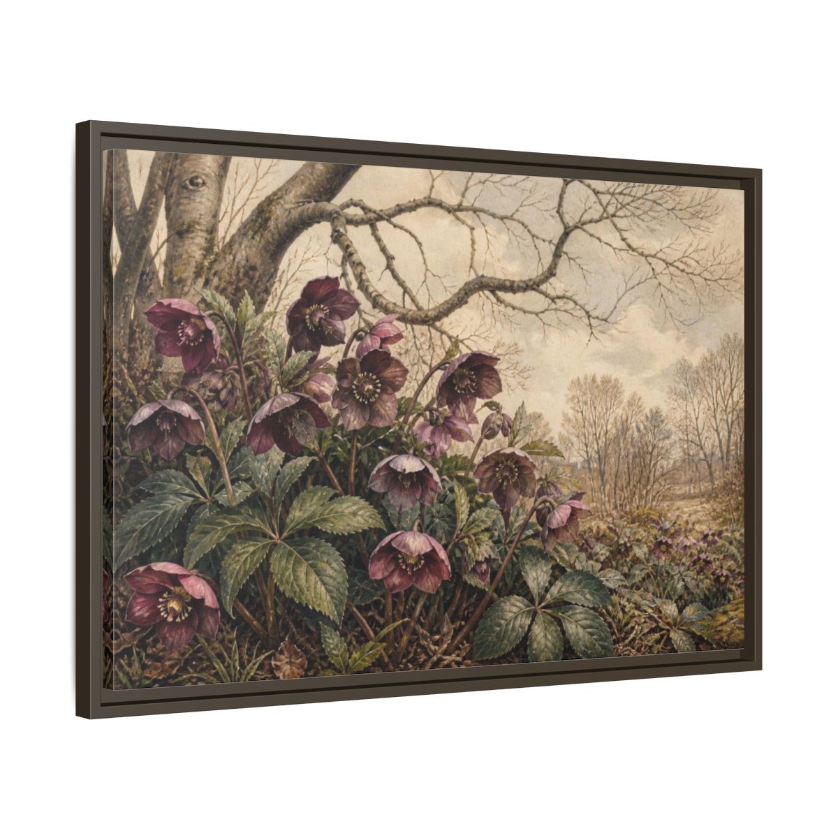 Side Mockup 11. Vintage Hellebore Study shown as framed canvas print