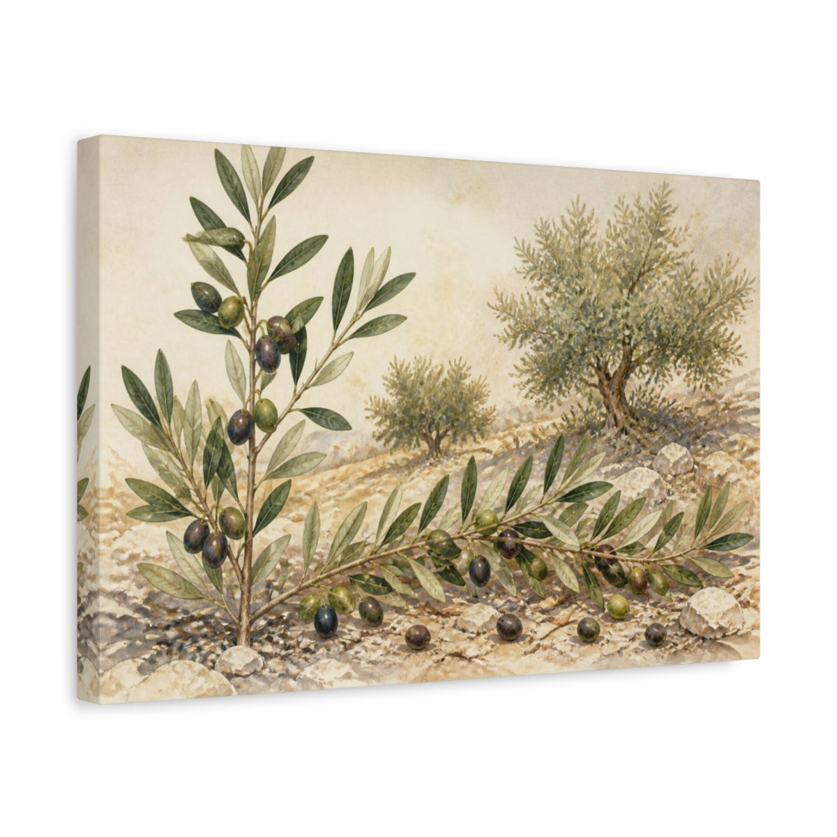 Side Mockup 4. Vintage Olive Branch Study shown as canvas print