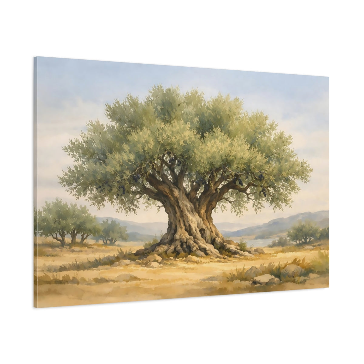 Watercolor Olive Tree shown as stretched canvas wall art