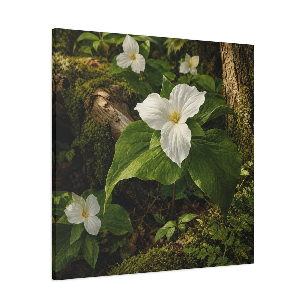 Side Mockup 1. Woodland Trillium Bloom shown as canvas print