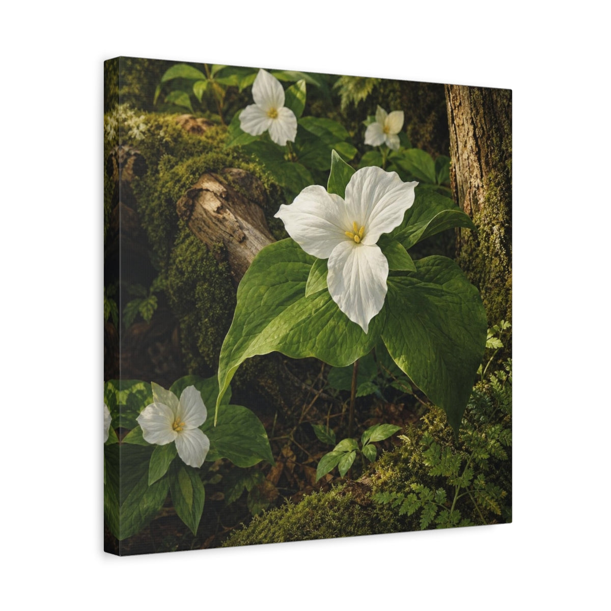 Side Mockup 6. Woodland Trillium Bloom shown as canvas print