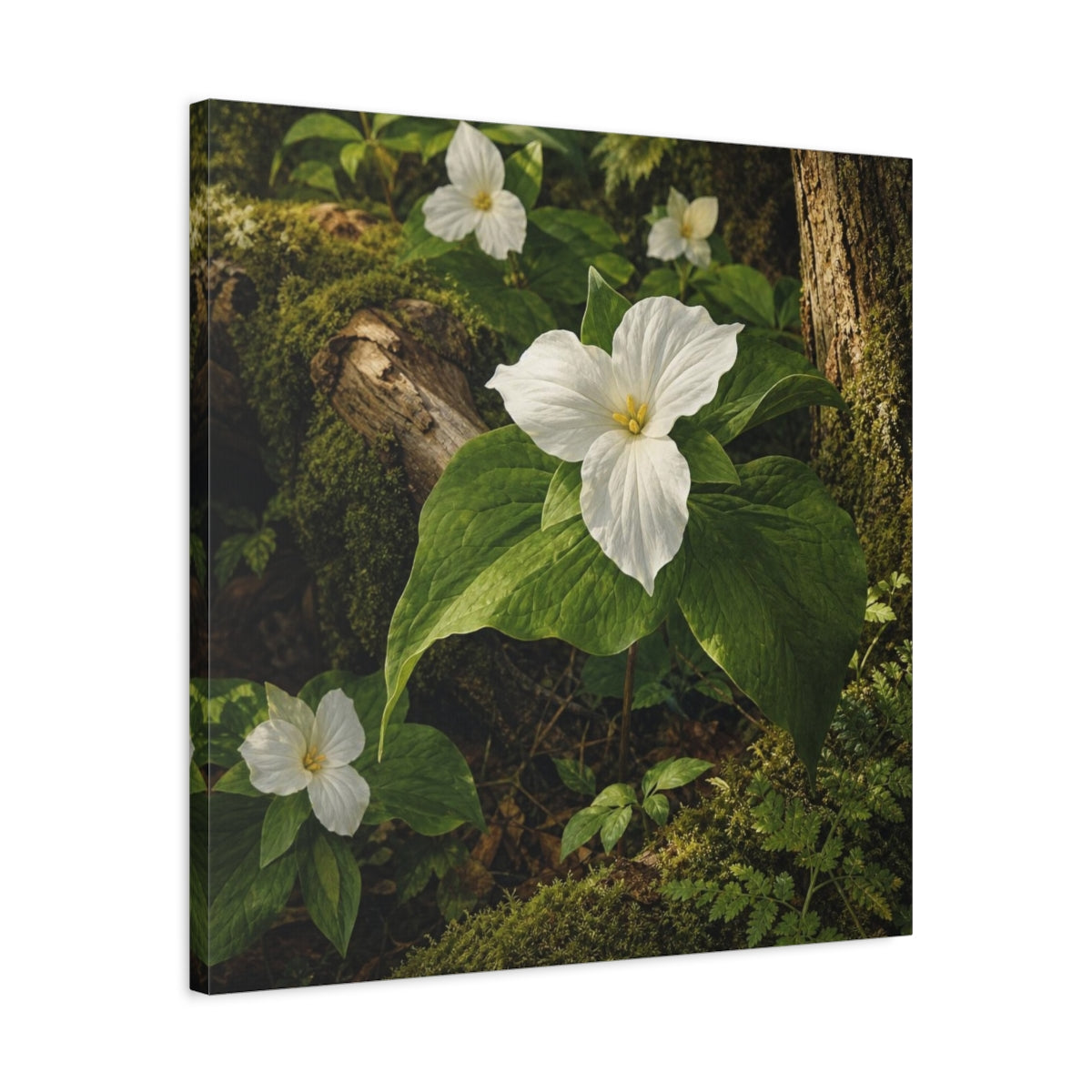 Side Mockup 4. Woodland Trillium Bloom shown as canvas print