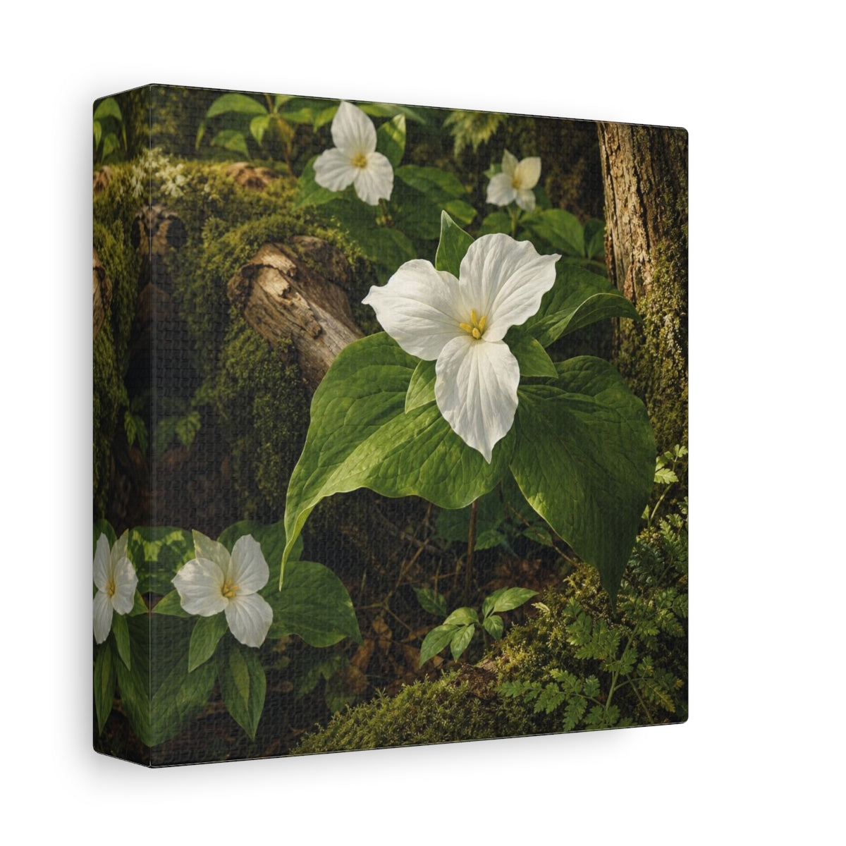 Side Mockup 2. Woodland Trillium Bloom shown as canvas print