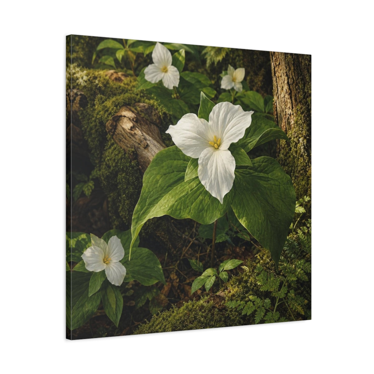 Side Mockup 3. Woodland Trillium Bloom shown as canvas print