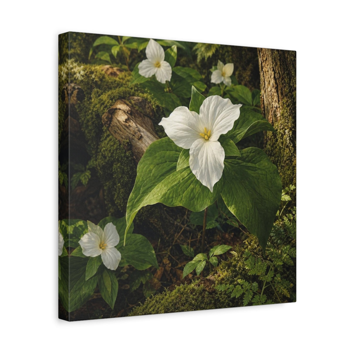 Side Mockup 7. Woodland Trillium Bloom shown as canvas print